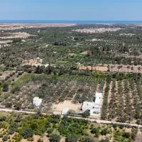 ZINA RESORT camping touristique, hotel v destinácii Zurayq Barrānīyah