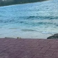 Apartamento de recreación vista al mar, hôtel à Boca Chica
