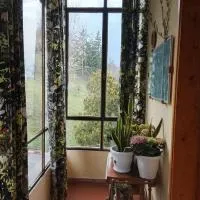 B&B Casa Orchidea, hotel en Baragazza