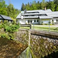 Penzion U Kocoura, hotel Desnában