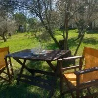 Κτήμα Ανάσες Ζωής- Ευγενία Σγούρα, hotel u gradu Epanomi