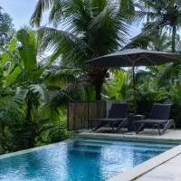Bali View Ubud Hotel, hotel v Ubudu