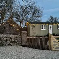 Shepherds Hut Galway, готель у місті Голвей