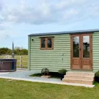 Shepherds hut surrounded by alpacas and ponies, Hotel in Norwich