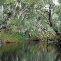 Yass में, होटल Zamenhof River Cabin - Peaceful Farm Escape - Pets Welcome