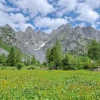 BLACK DOLOMYTE Apartment، فندق في شيلباريو