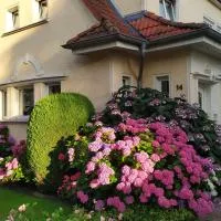 Ferienwohnung Bleichen, hotel v destinácii Stralsund