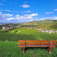 Gästehaus Weingut Mangel, готель у місті Еммендінґен