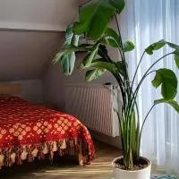Apartment Zum Wohlfühlen, hotel v destinácii Sulz am Neckar