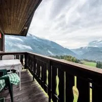 Ferienwohnung Gatscherhof, hotel a Luson