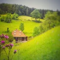 Ferienwohnung Teich 11, 126qm, hotell sihtkohas Gütenbach