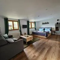 Ferienwohnung Vordere Halde, хотел в Елзах