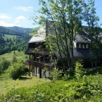 Familien-Sportappartements Wetzel, hotel i Menzenschwand