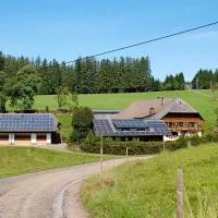 Willmannshof, hotel sa Furtwangen