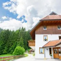 Ferienwohnung Birgit, viešbutis mieste Šėnachas