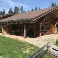 Blockhaus Almhütte Wiesenglück，Glatten的飯店