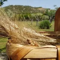 Agriturismo la Mandragola Relais, ξενοδοχείο στον Κρότωνα