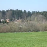 Ferienwohnung Schwahn, hotel in Kleinschönach