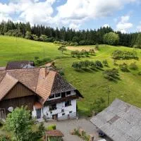 Ferien auf der Fleischdielte, hotel a Mühlenbach