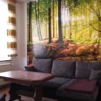 Ferienwohnung Rose, hotell sihtkohas Schöneck
