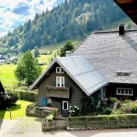 Backhüsli am Bauerngarten: St. Blasien şehrinde bir otel