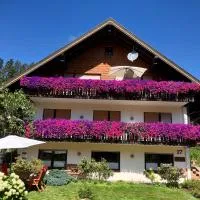 Haus Hubertus, hotell sihtkohas Enzklösterle