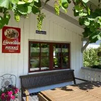 Bei Dörflingers, hotel v mestu Klettgau