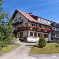 Pension Birgit, hotel din Todtnauberg