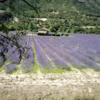Camping Sainte-Jalle, hotel di Sainte-Jalle