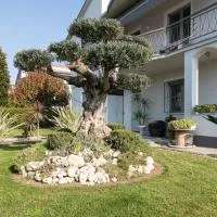 L'Ulivo bed and breakfast, hotel din San Matteo della Decima