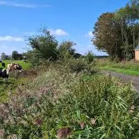 Buorkerijhûske A - Tussen Wad en Weide, viešbutis mieste Hallum