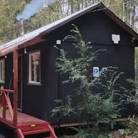 Cabaña Ruka trinar, hotell i Curacautín