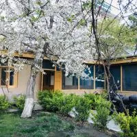 Hunza Backpackers Inn, отель в городе Хунза