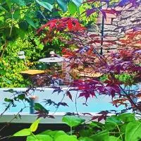 Séjour Détente avec son spa privatif proche de la Cité de Carcassonne et du Canal du Midi, hotel in Pexiora