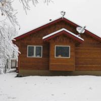 The Bear Cabin