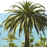 Studio climatisé proche parking gratuit, commerces et plages, Hotel in Carqueiranne