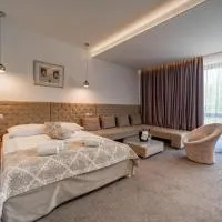 Hotel Varazdin, hotel i Varaždin