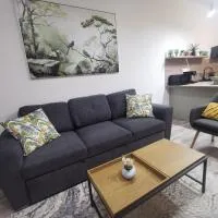 Viesnīca River Apartman 2 pilsētā Odorheju Sekujeska