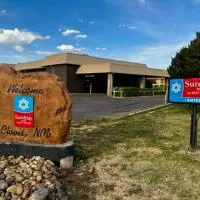 SureStay Plus by Best Western Cannon A.F.B., hotel a Clovis