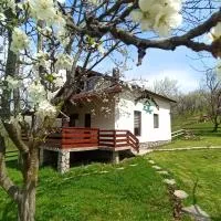 Căsuța din Livadă Schiulesti, hotel i Schiuleşti