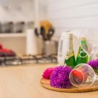 Kolo, hotel v destinácii Boryspilʼ