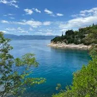 Apartman Zlata, hotel Buzdohanjban