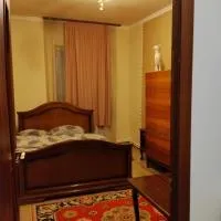GuestHouse ED&ER near airport โรงแรมในGeghanist