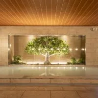 Tabino Hotel Aso Kumamoto Airport, готель у місті Ozu