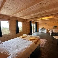 Buzzard Holt Hosting, hotel en Buckingham