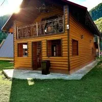 Rusnak Family, viešbutis mieste Synevyrska Polyana
