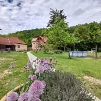 Fónagy Apartmanok, khách sạn ở Nagyvisnyó