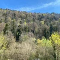 Am Wald, Am Berg, hotel Unterreichenbachban