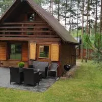Domek Pod Sosnami, hotel in Kuźnica Nowa