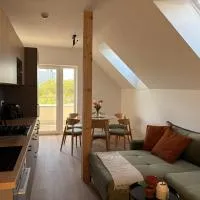 Apartmány u Zvonice, מלון בקיוב